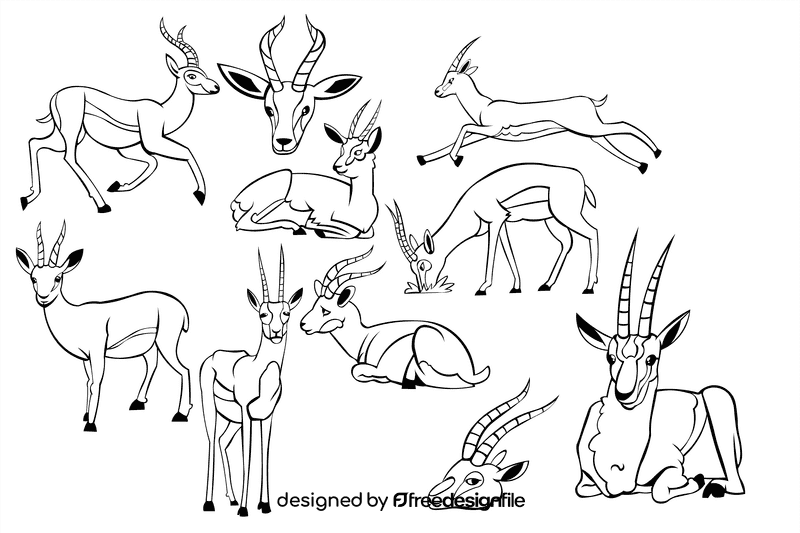 Gazelle black and white vector