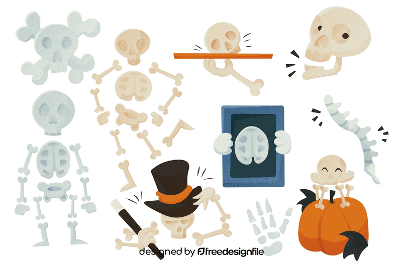 Skeleton vector