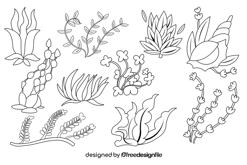 Algae black and white vector