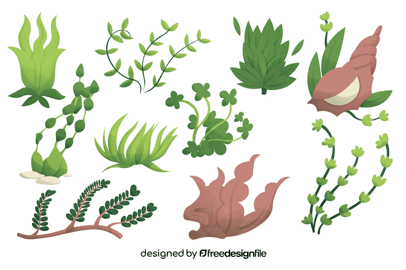 Algae vector