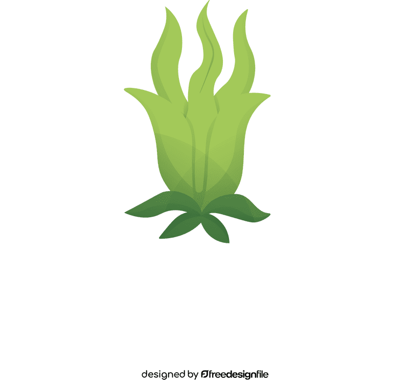 Algae clipart