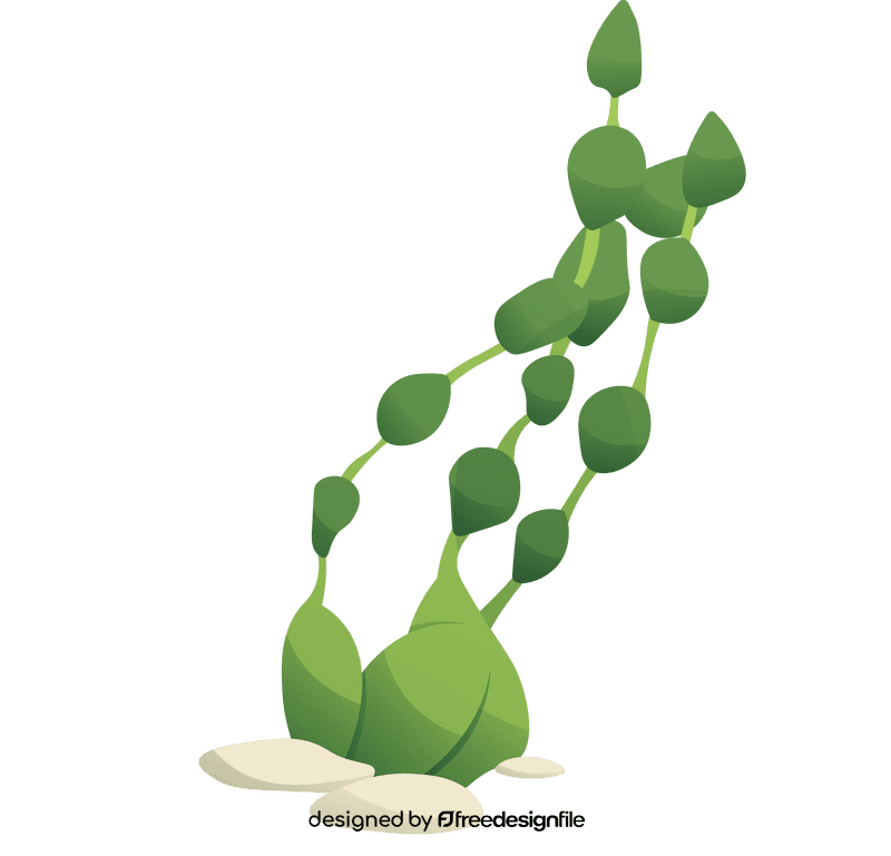Algae clipart