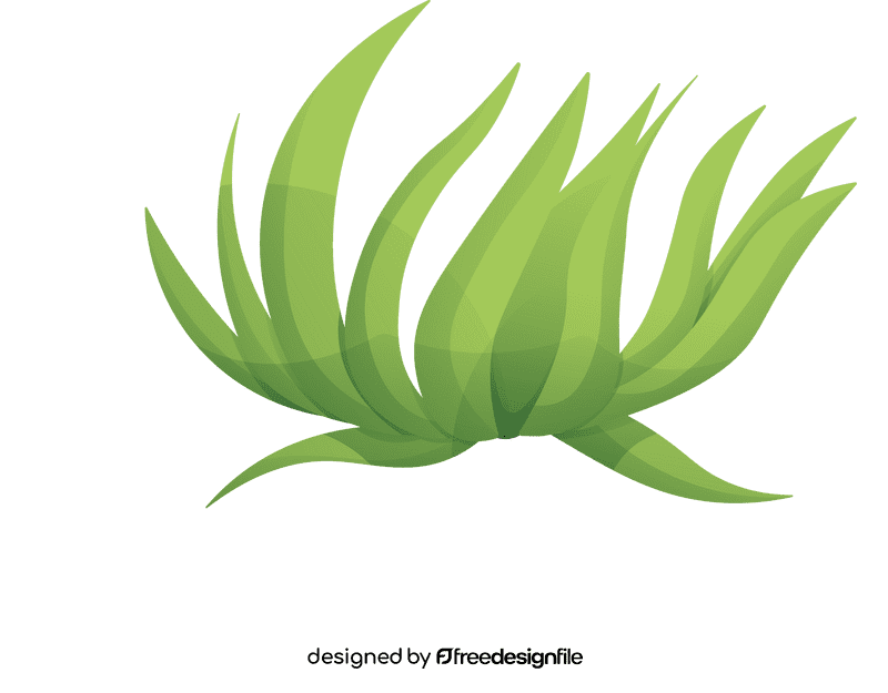 Algae clipart