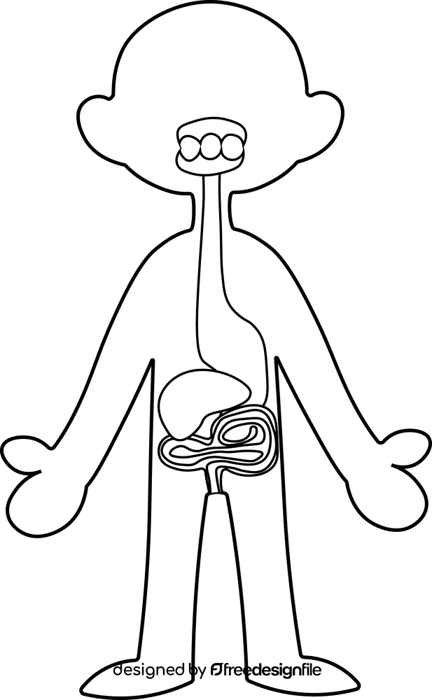 Human Body Gastrointestinal black and white clipart