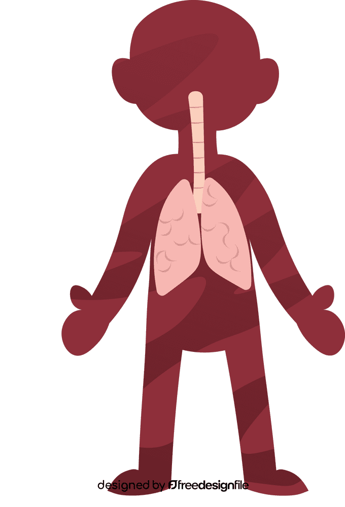 Human Body Lungs clipart