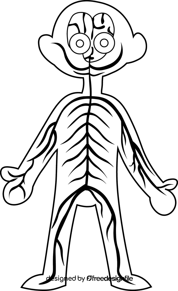 Human Body Nerves black and white clipart