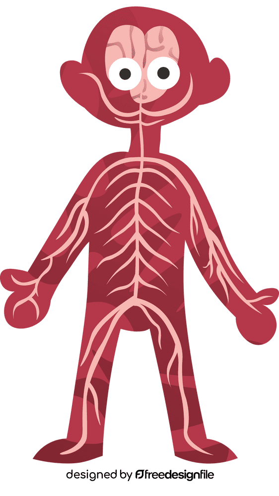 Human Body Nerves clipart