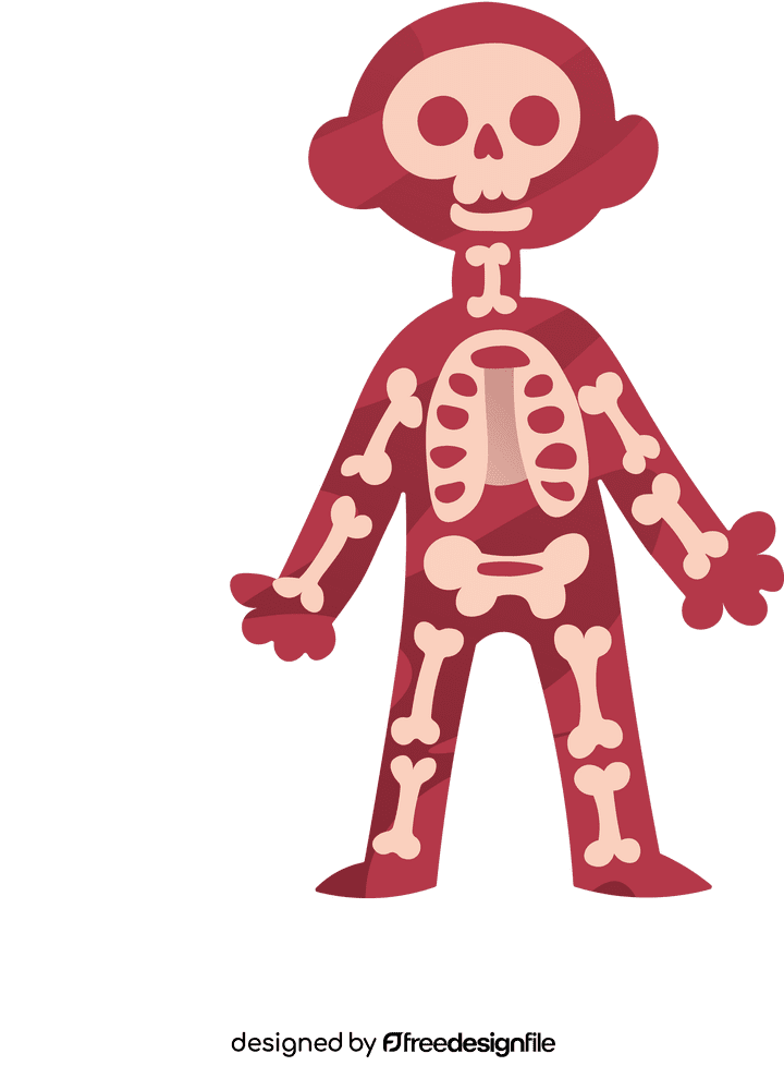 Human Body Skeleton clipart