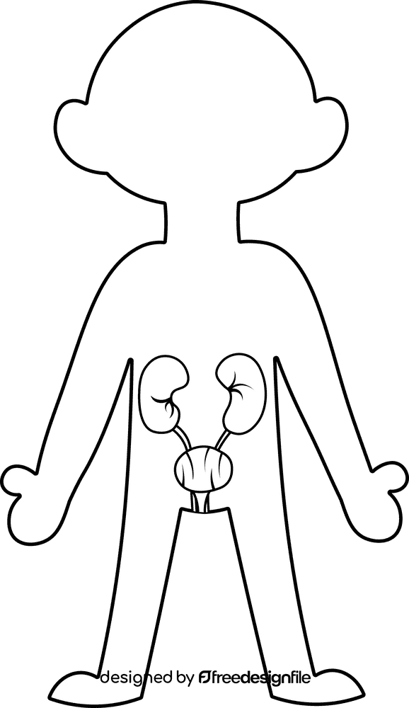 Human Body Urinary black and white clipart