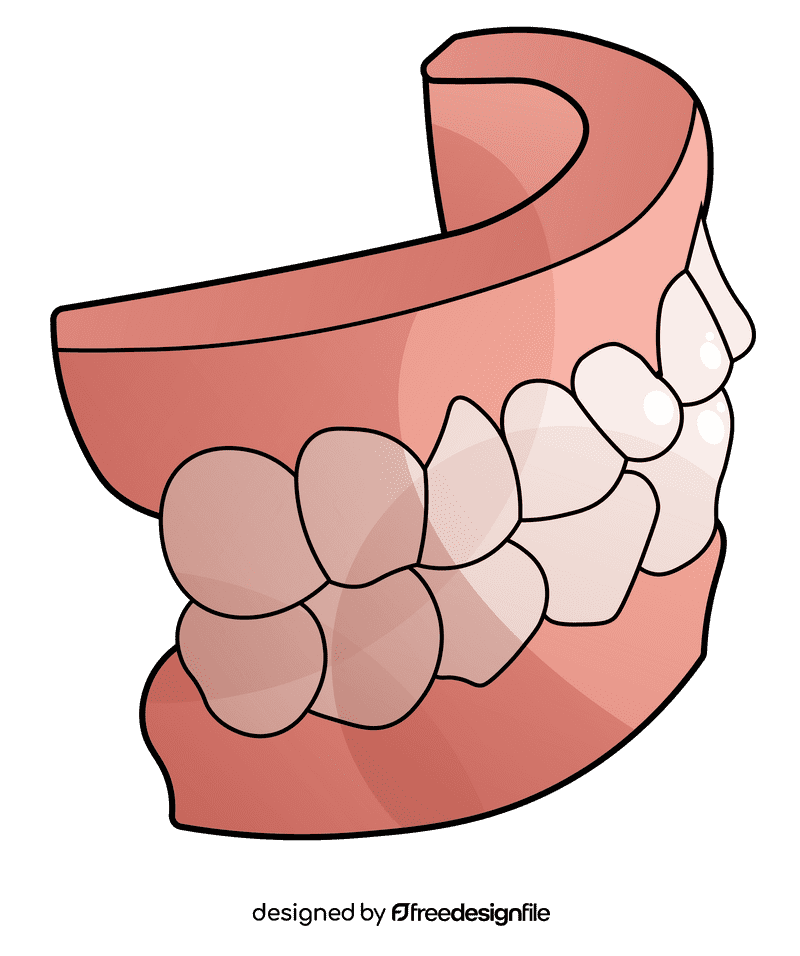 Tooth Jaw clipart