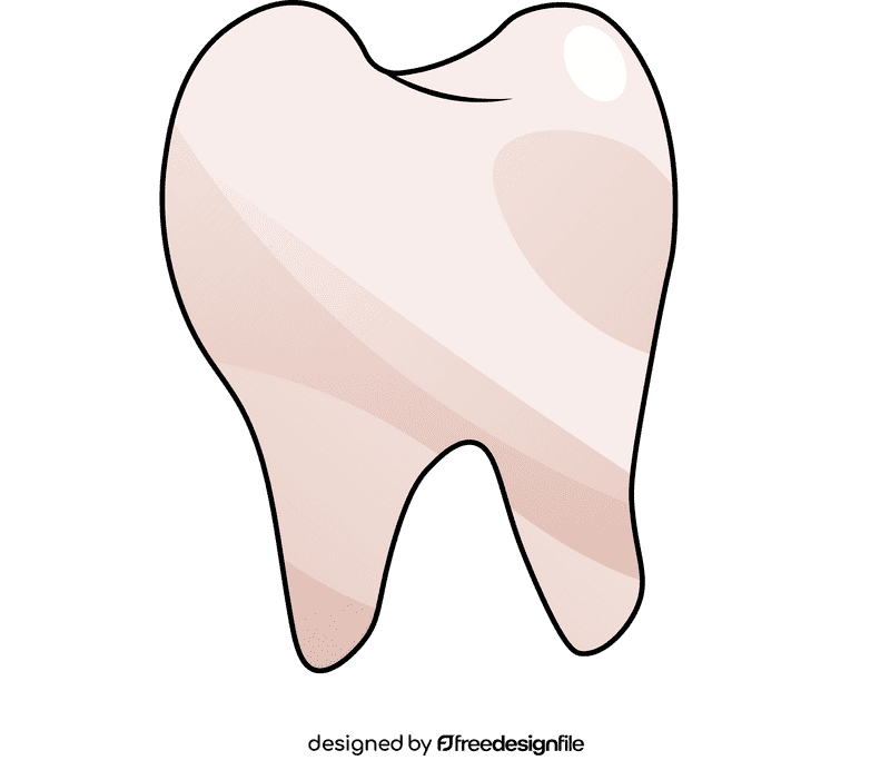 Tooth clipart