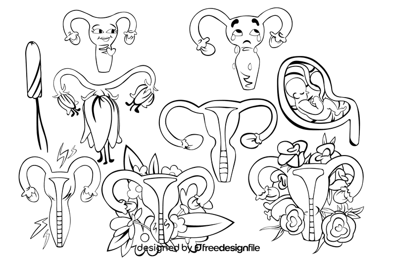 Uterus black and white vector