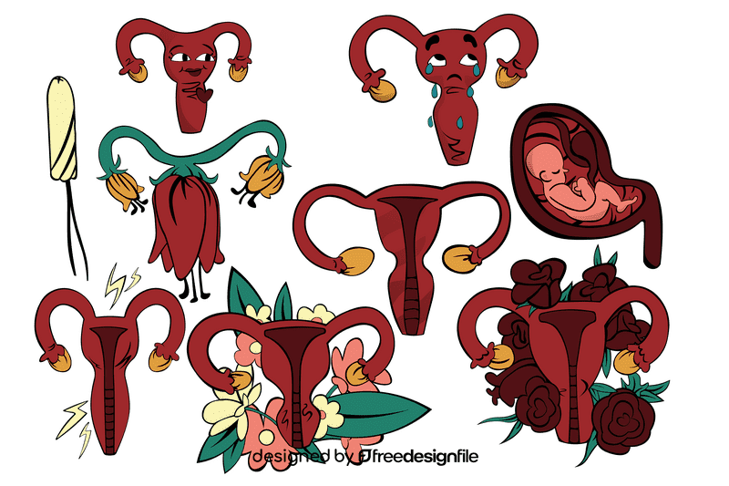 Uterus vector