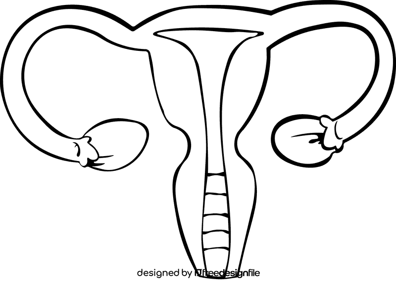 Uterus black and white clipart