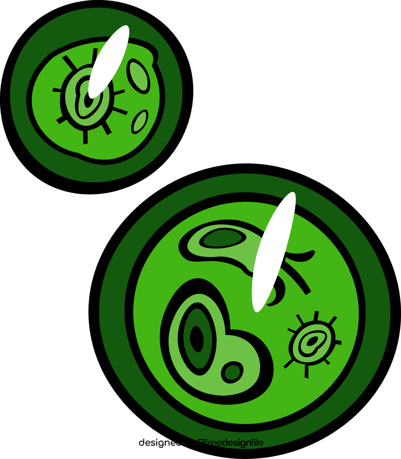 Petri dish clipart
