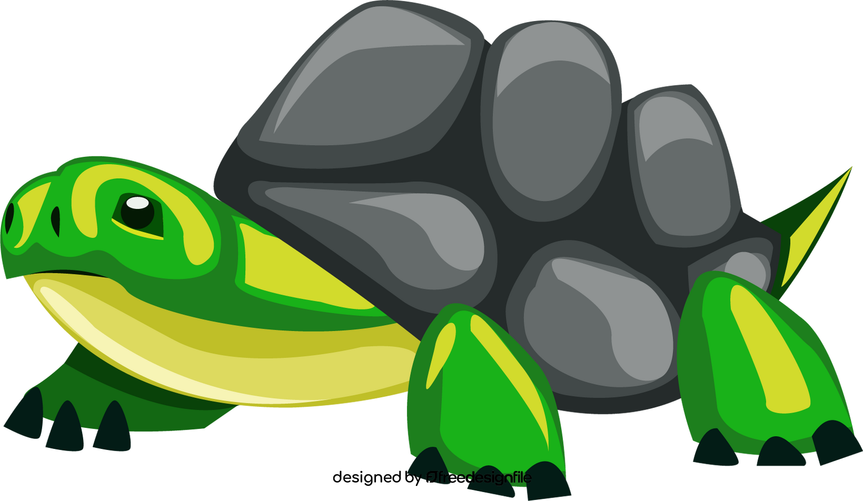 Turtle Green clipart