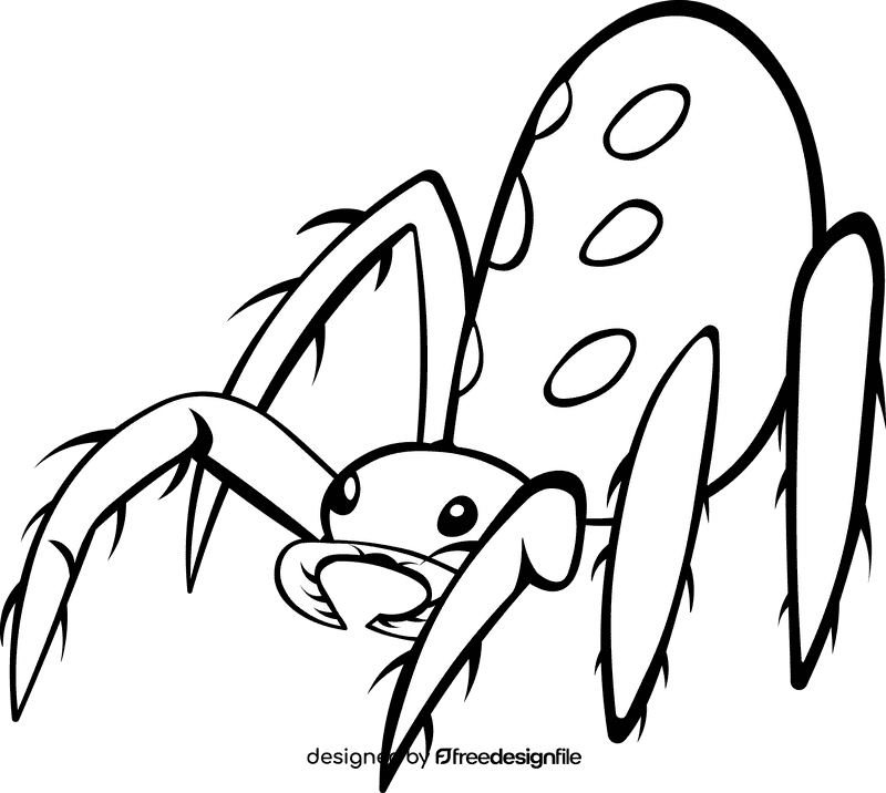 Weaver Spider black and white clipart