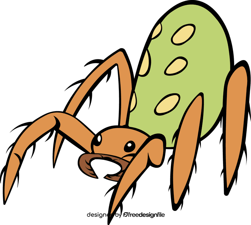 Weaver Spider clipart