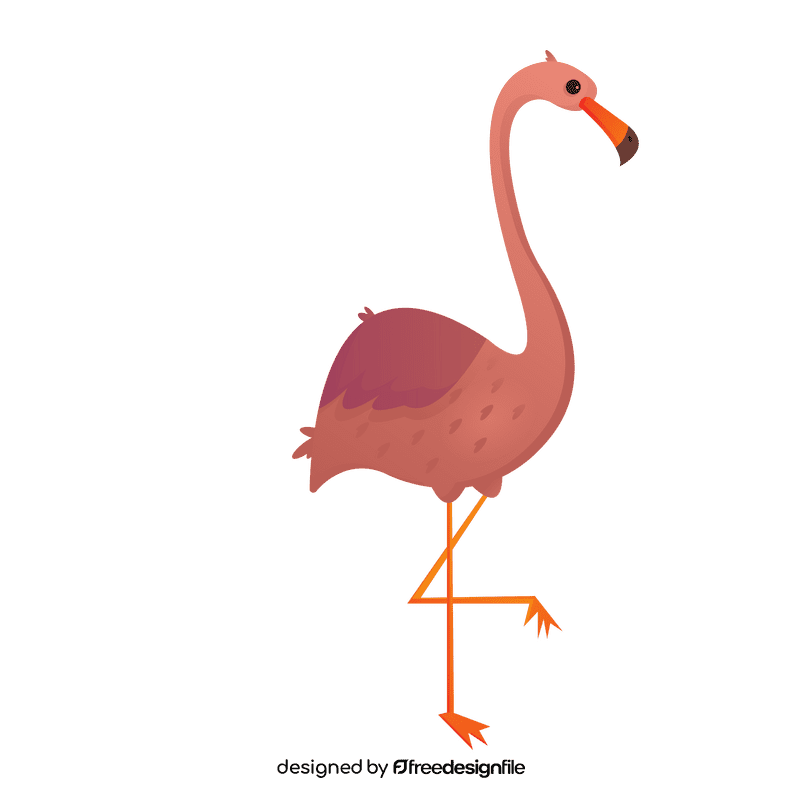 Flamingo bird cartoon clipart