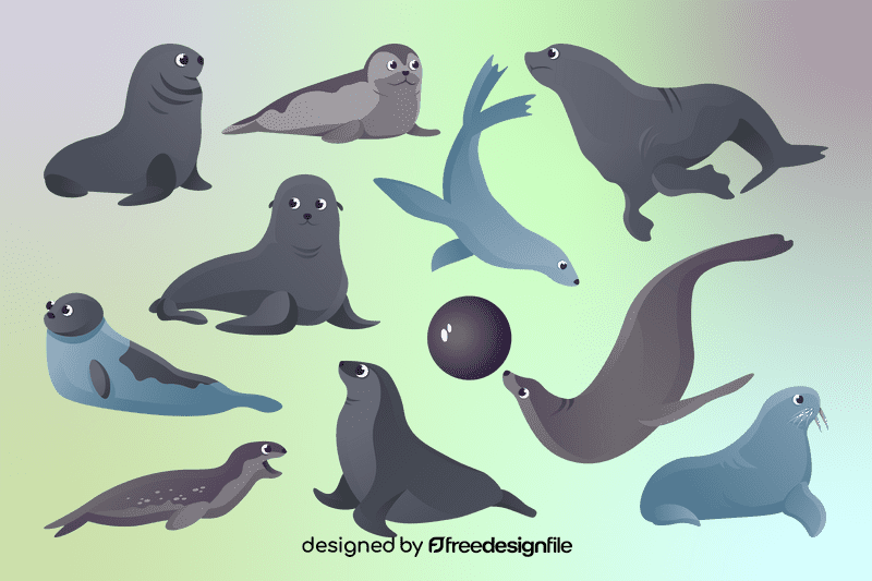 Sea lion vector