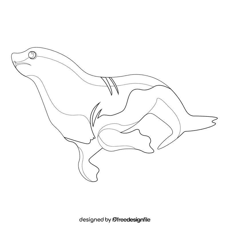 Sea lion black and white clipart