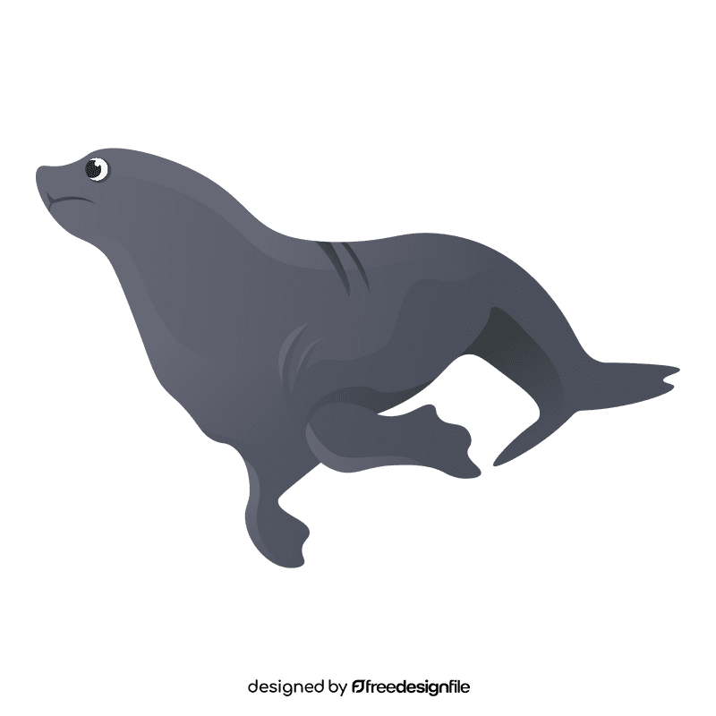 Sea lion clipart
