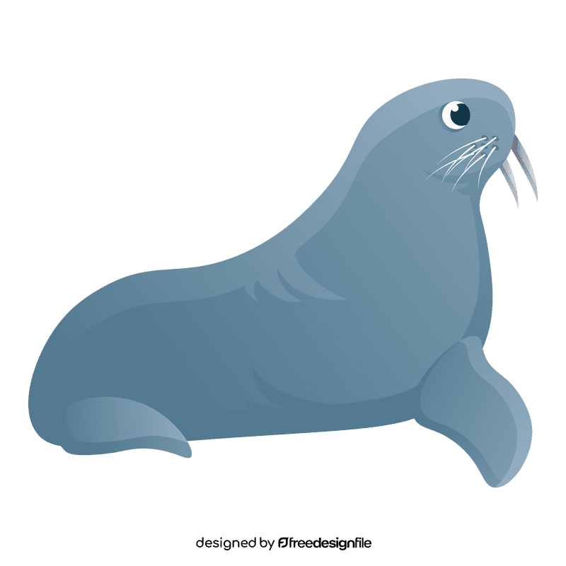 Sea lion clipart