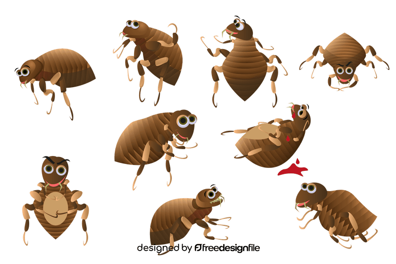 Flea vector