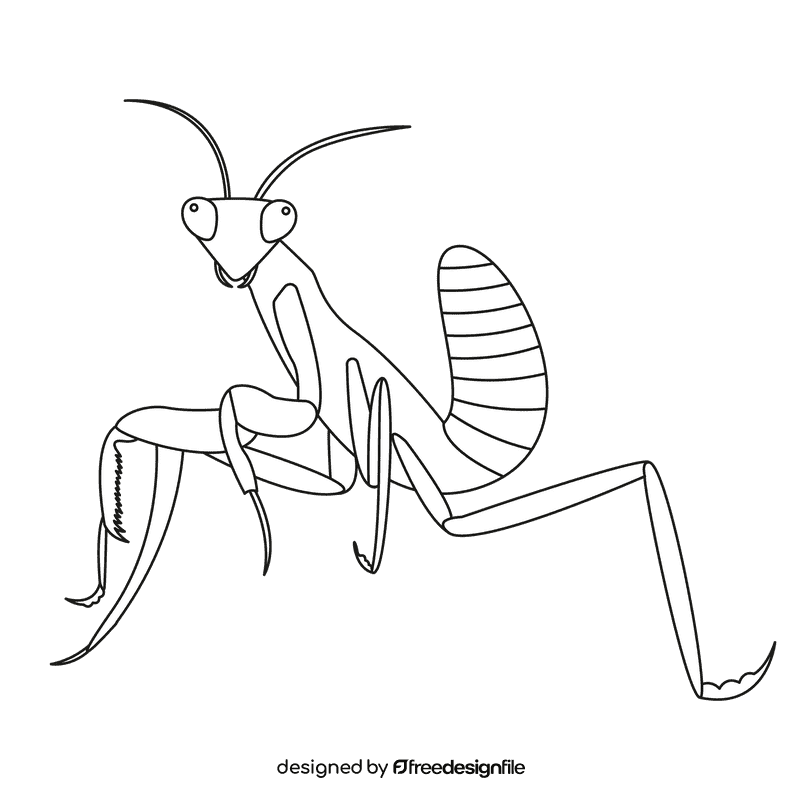 Praying mantis front black and white clipart