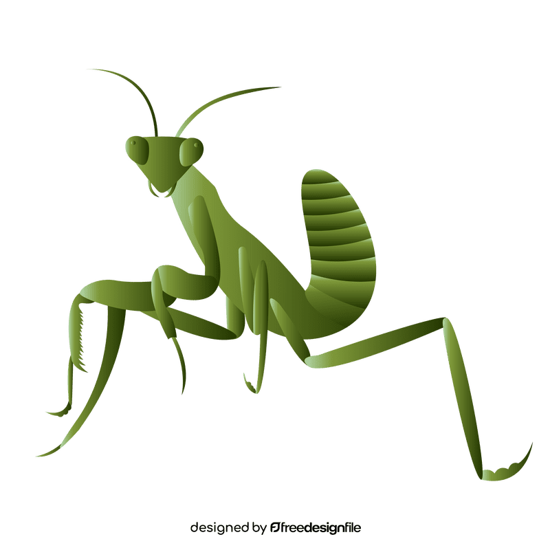 Praying mantis front clipart