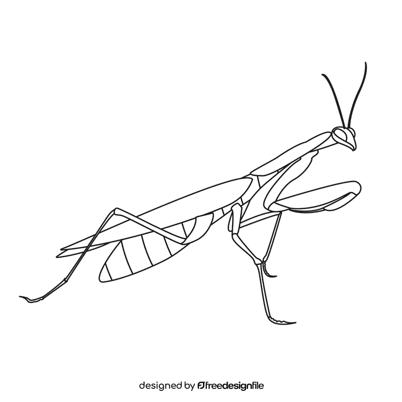 Praying mantis goes black and white clipart