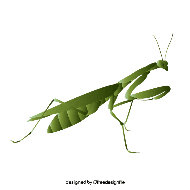 Praying mantis goes clipart