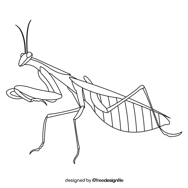Praying mantis hunts black and white clipart