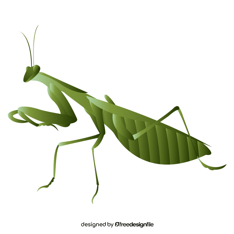 Praying mantis hunts clipart