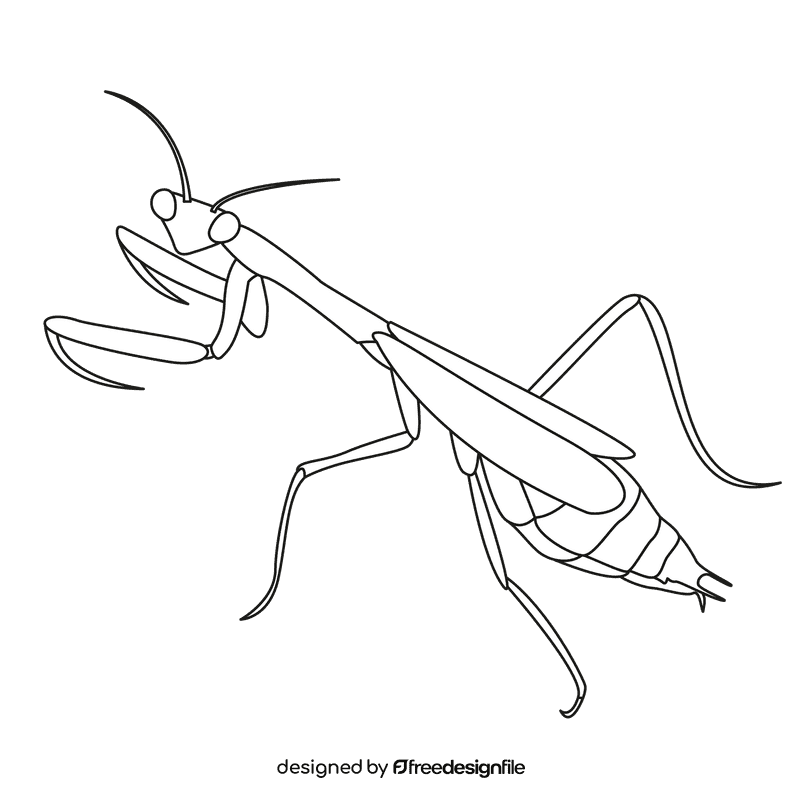 Praying mantis left black and white clipart
