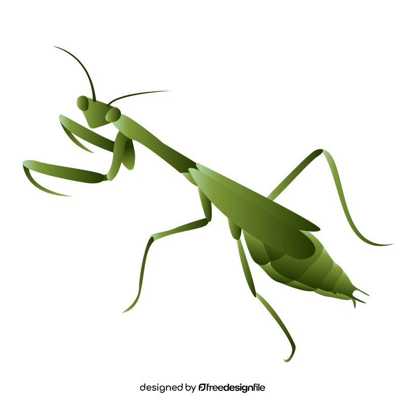 Praying mantis left clipart