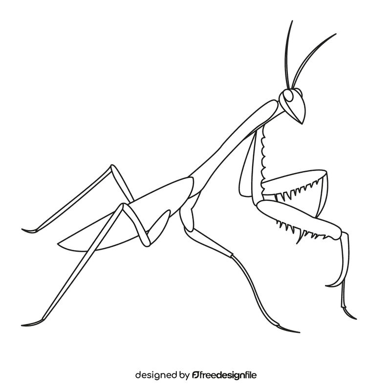 Praying mantis on the right black and white clipart