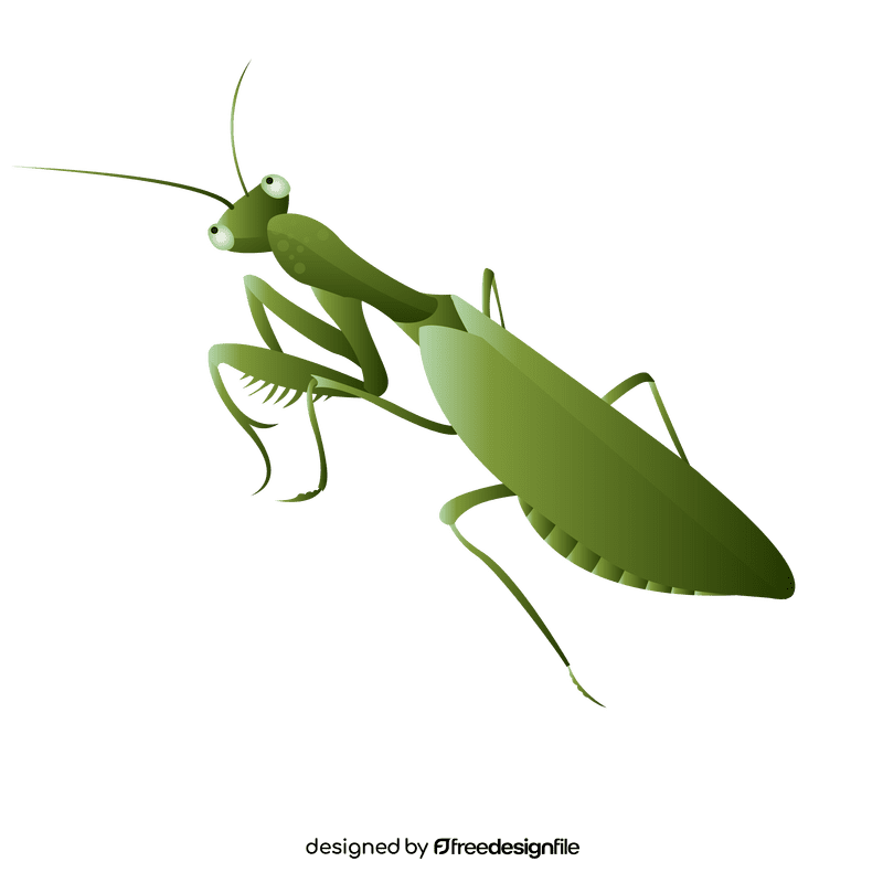 Praying mantis on top clipart