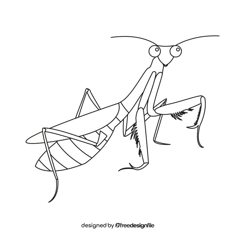 Praying mantis side black and white clipart