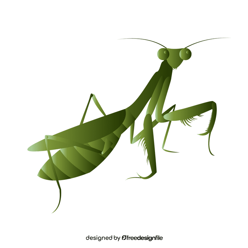 Praying mantis side clipart