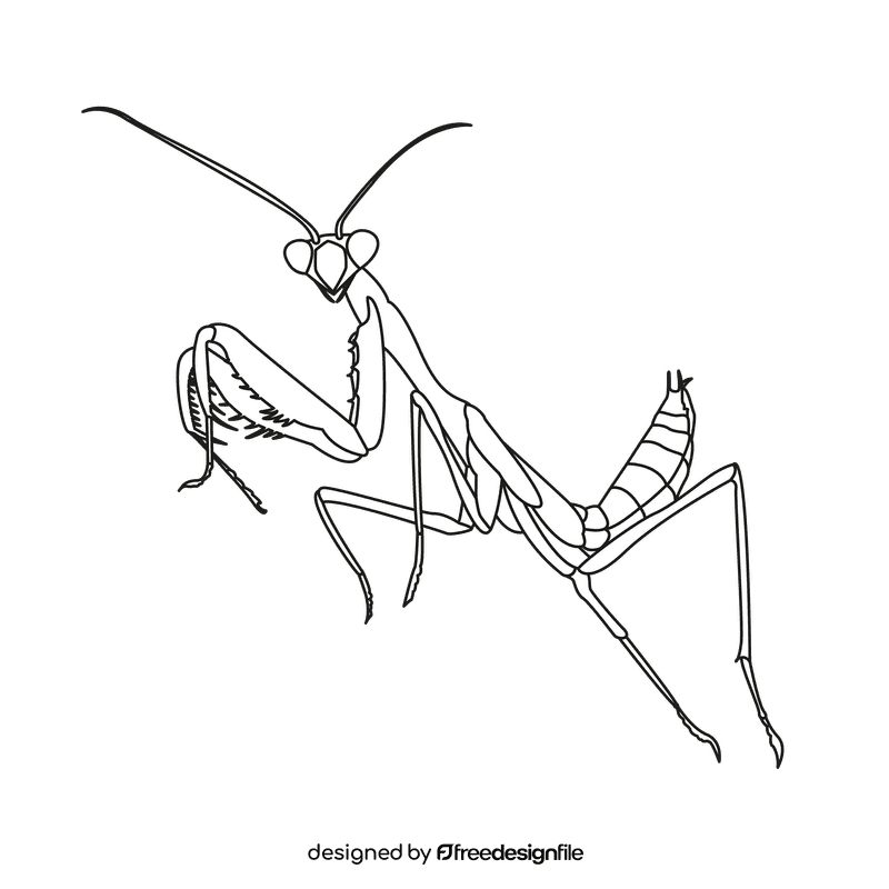 Praying mantis with wings black and white clipart