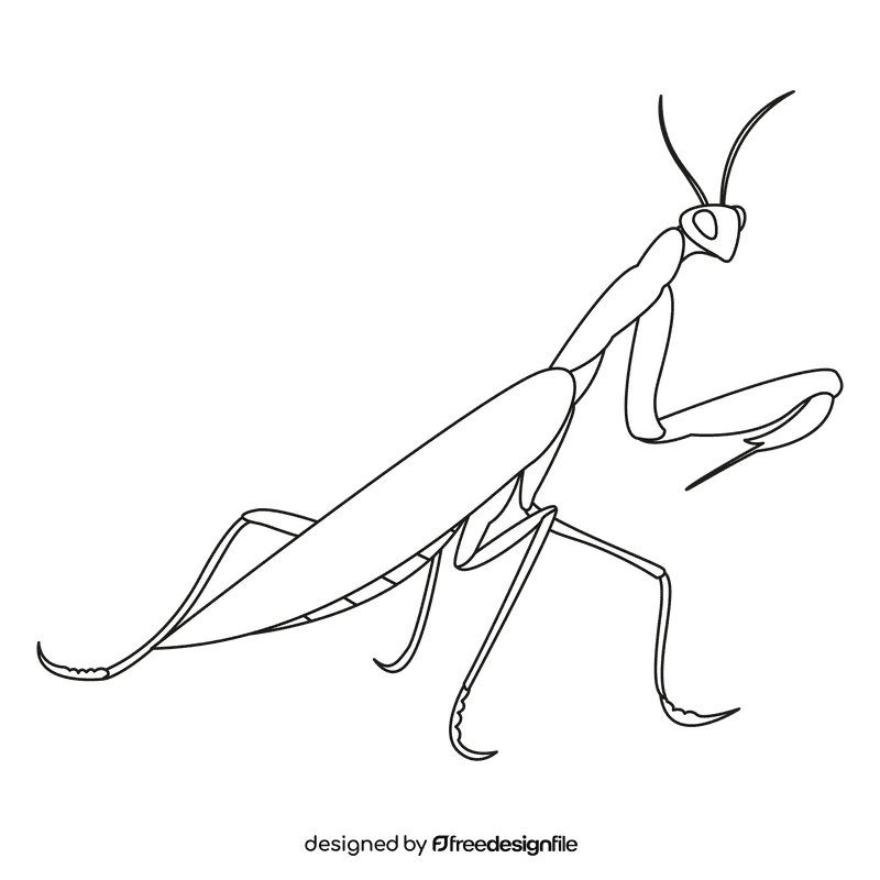 Praying mantis worth black and white clipart