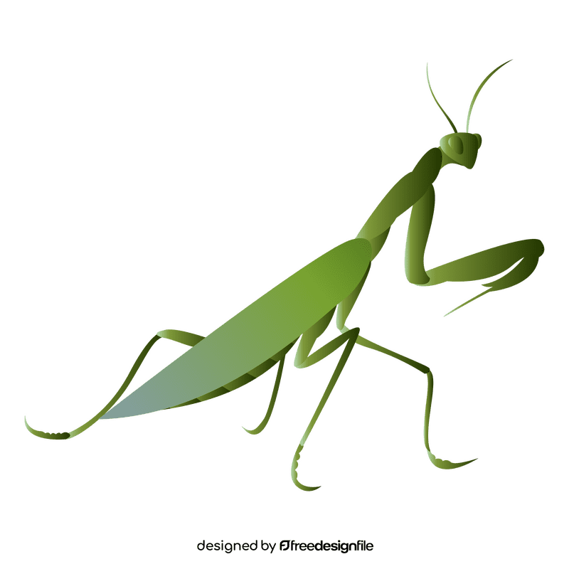 Praying mantis worth clipart