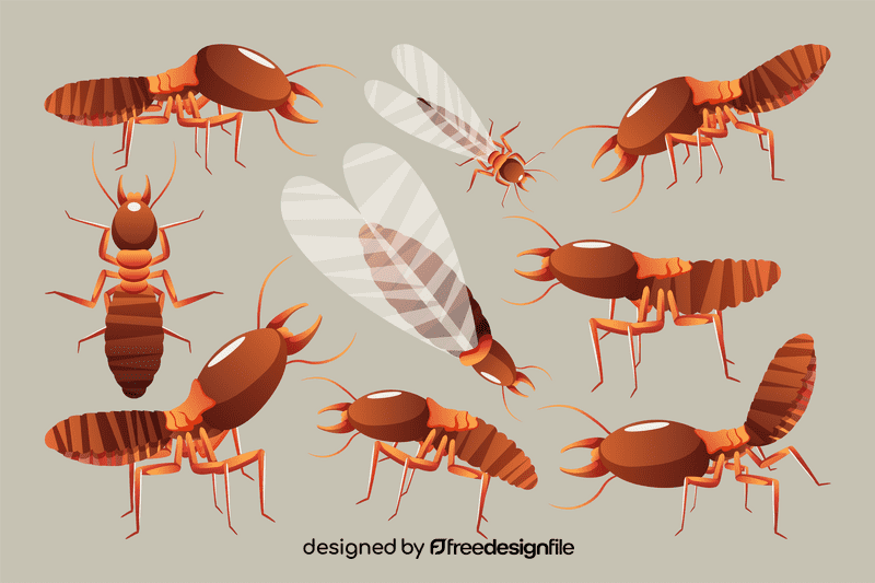 Termite vector