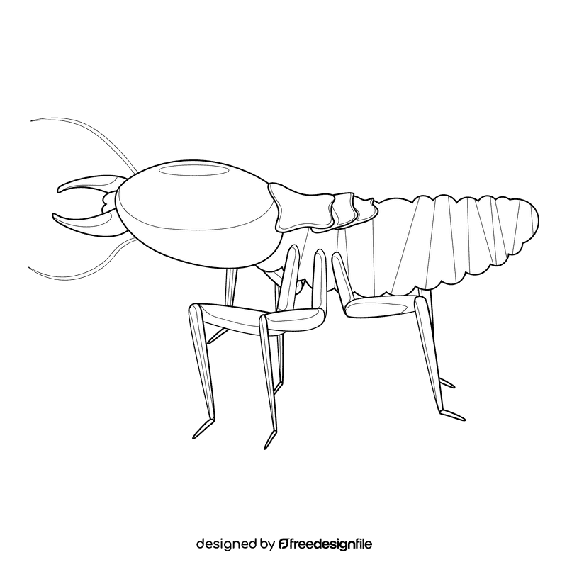 Termite black and white clipart