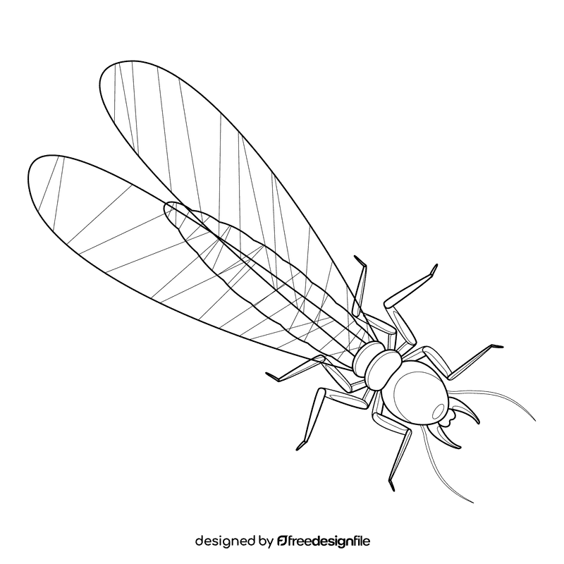 Termite wings black and white clipart