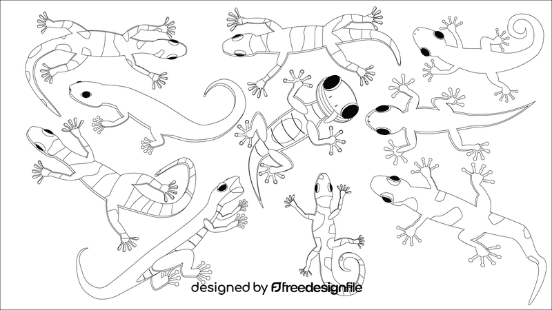 Gecko black and white vector