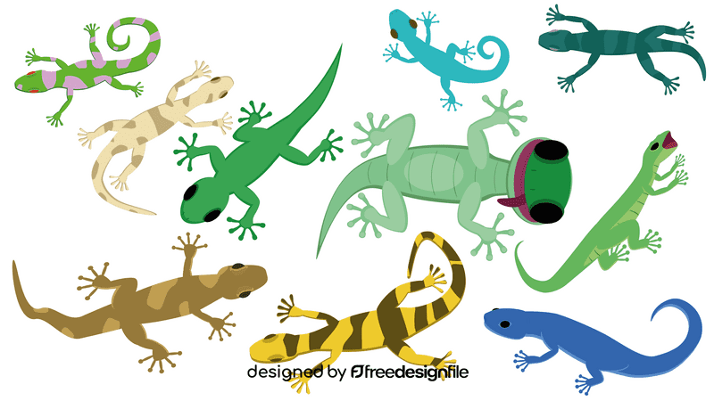 Gecko vector
