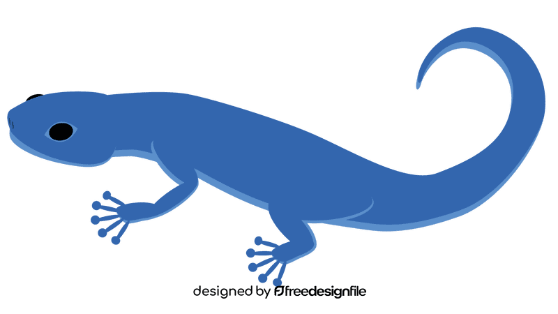 Gecko blue clipart