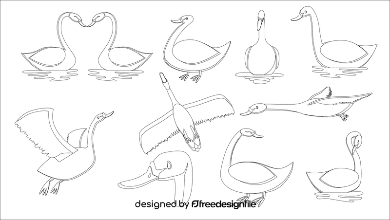 Swan bird black and white vector